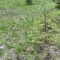 23-05-21 15-05-52 5523